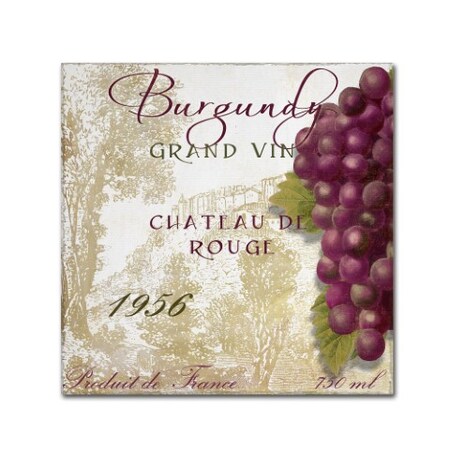 Trademark Fine Art Color Bakery 'Grand Vin Burgundy' Canvas Art, 14x14 ALI4394-C1414GG